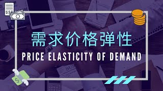 【经济学课程】 第六课  Elasticity of Demand 需求的弹性 [upl. by Halle]