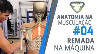 Diferentes pegadas Remada na Máquina  Trapézio  Romboides  Latíssimo  Anatomia na Musculação 4 [upl. by Sira768]