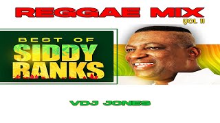 MAANDAMANO Biggest Reggae Hits 🔥  VDJ Jones Mix  Siddy Ranks  Never too late  Baby its you [upl. by Sueaddaht]