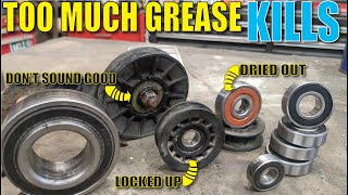 How to GREASE UnSeize and Clean SEALED Bearings [upl. by Asik]