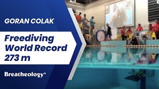 Goran Colak  Freediving World Record 273 m [upl. by Blanch982]