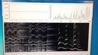 Realtime python spectrograph test [upl. by Adniralc]