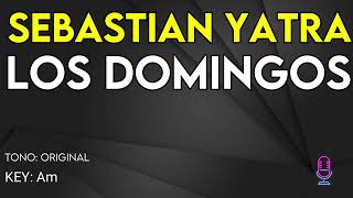 Sebastian Yatra  Los Domingos  Karaoke Instrumental [upl. by Fredra986]