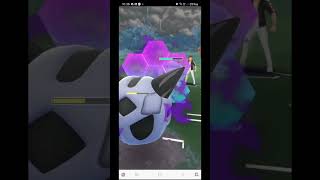 Testing out 3 NEW SHADOW POKEMON in the catch cup [upl. by Hedges]