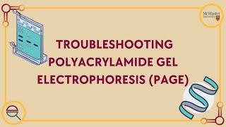 Troubleshooting Polyacrylamide Gel Electrophoresis PAGE [upl. by Alin]