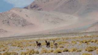 CATAMARCAVIDEO ASOMBROSO [upl. by Nortal606]