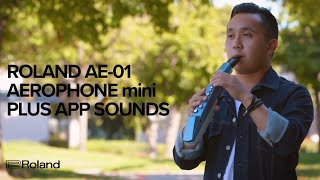 Roland AE01 Aerophone mini Plus App Sounds [upl. by Winnah]