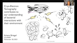 CryoET contributes to our understanding of bacterial interactions with their environment [upl. by Akit]