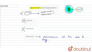 Maternal inheritance is due to the genes present in [upl. by Gertrudis]