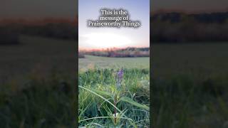 Praiseworthy Things ahead [upl. by Eenalem]