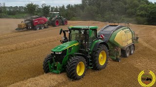 Stroh Ernte mit 2 Quaderballenpressen vom LU Marquardt  Fendt  Case IH  John Deere  Krone [upl. by Cyb]