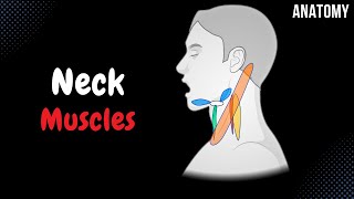 Muscles of the Neck Groups Origin Insertion Function [upl. by Pedrotti]