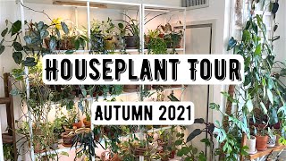 Houseplant Tour 300 Plants  Autumn 2021 [upl. by Anilahs92]