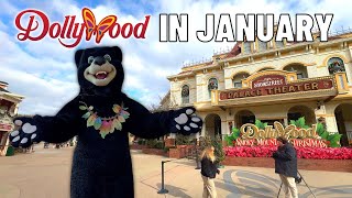 How Busy Is Dollywood After New Years Day [upl. by Nitsugua]