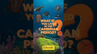 What If You Lived in the Cambrian Period facts humanextinction animalextinction [upl. by Silrac]