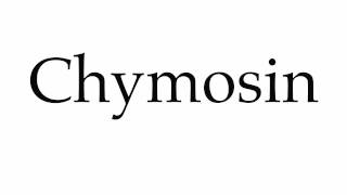 How to Pronounce Chymosin [upl. by Nnaeel764]