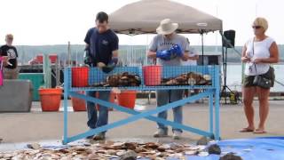 Scallop Shucking Competition at Digby Scallop Days [upl. by Punke]