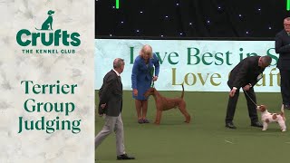 Terrier Group Judging  Crufts 2024 [upl. by Trescott]