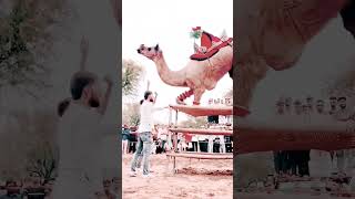 dance folks song newfolksongs2023telugudj newmusicrelease nonstopdjremixsong rajasthani [upl. by Nil504]