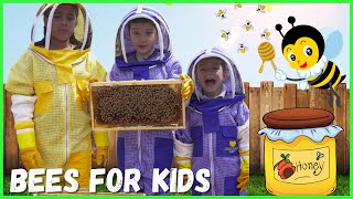 Learn About Bees for Kids  Pollination for Kids  Beekeeping for Kids [upl. by Ayo]