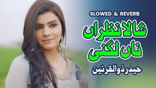 Shala Nazran Na Lagni Slowed amp Reverb  Haider Zulqarnain  TikTok Trending  Jiven Shala Mahi [upl. by Arline]