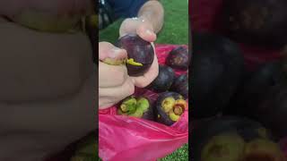 Mangosteen meyvəsini necə tanımalı və yeməli How to Eat amp Know  Mangosteen fruit mangosteen [upl. by Eserahc]