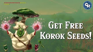 How to EASILY Dupe Korok Seeds Step by Step Guide [upl. by Ateval]