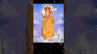 Vailankanni  Shrine Basilica  youtubeshorts shorts vailankanni yt 1k velankanni youtube 2k [upl. by Martelle]