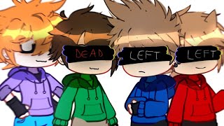 Age  meme Eddsworld based on real facts [upl. by Maretz]