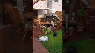 30 Patio Design Ideas 2024 Backyard Garden Landscaping ideas House Rooftop Garden  Terrace Pergola [upl. by Laughlin]