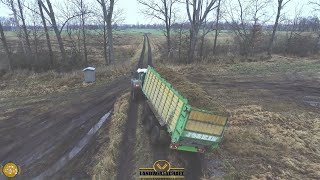 Das war Richtig Knapp Gras Ernte im Moor Fendt Traktoren wühlen sich durch den Sumpf 2021 [upl. by Xel]