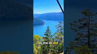 Conoce el Malahat skywalk de Victoria BC Canada 🇨🇦 [upl. by Joya]