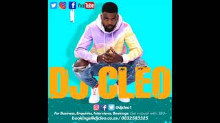 dj cleo level 2 amapiano mix [upl. by Heng311]