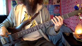 Kimbra  Miracle Bass Cover Pedro Zappa [upl. by Ullund]