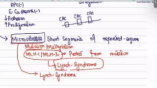 Colorectal Carcinoma from first aid step 1USMLEUrduHindi [upl. by Doner366]