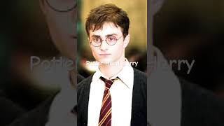 Muggles vs Potter Heads harrypotter shorts [upl. by Aikat]