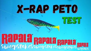 Rapala Jerkbait X Rap Peto fishing lure underwater test [upl. by Cirted]