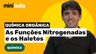 As Funções Nitrogenadas e os Haletos  Química Orgânica  MINIAULA [upl. by Aerdnat]