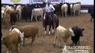 WR This Cats Smart  NCHA World Finals [upl. by Qidas]