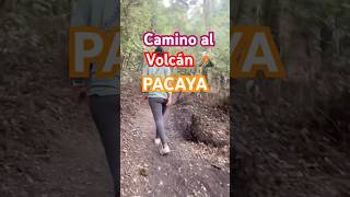 Camino al Volcán PACAYA 🌋 volcan travel nature vacaciones viajes turismo hiking pacaya [upl. by Aneehsit]