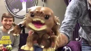 Funko Cantina Chat Smugglers Bounty Hint amp Rancor Unboxing [upl. by Solracesoj169]