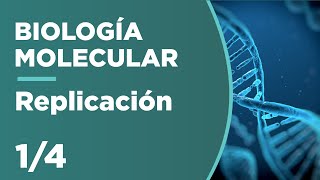 REPLICACIÓN del ADN  Biología Molecular 14 [upl. by Anchie545]