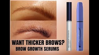 MY EYEBROW GROWTH JOURNEY  HOW I GREW OUT MY BROWS IN 6 MONTHS  PERFECT SERUM COMBINATION [upl. by Ardiedak]