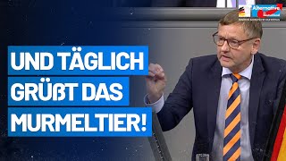 Und täglich grüßt das Murmeltier Kay Gottschalk  AfDFraktion im Bundestag [upl. by Ahseena]