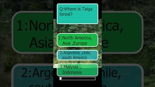 Taiga forest a wide range of forestrainforestwildlife adventure facts animals nature [upl. by Felicle]