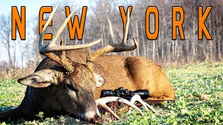 Rifle Hunting Deer in New York  Mossberg Patriot 300 [upl. by Lednam]