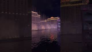 Vegas show viralvideo lasvegas foryou us [upl. by Tasia]