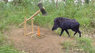 Build Unique Wild boar Trapping Using Big Axe  Best Quick Powerful Wild Pig Trap Working 100 [upl. by Ihsir]