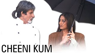 Cheeni Kum 2007 Bollywood Ki Jabardast Romantic Hindi Movie  Amitabh Bachchan Tabu  Love Story [upl. by Ettezus999]