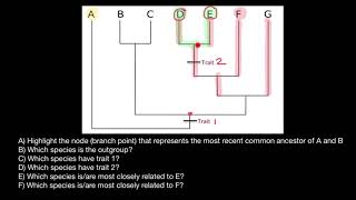 How to Understand Unrooted Phylogenetic Trees [upl. by Lamprey911]